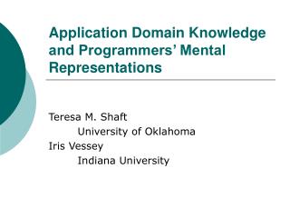 Application Domain Knowledge and Programmers’ Mental Representations