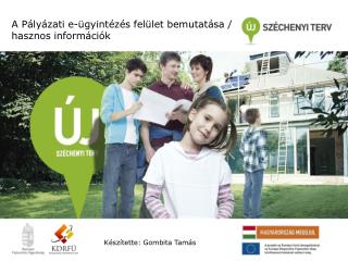 A Pályázati e-ügyintézés felület bemutatása / hasznos információk