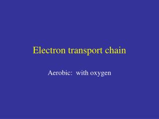 Electron transport chain