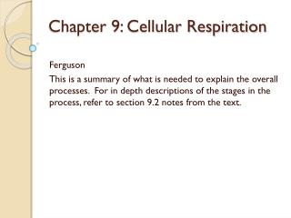 Chapter 9: Cellular Respiration