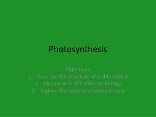 Photosynthesis