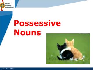 Possessive Nouns