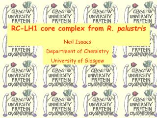 RC-LH1 core complex from R. palustris