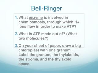 Bell-Ringer
