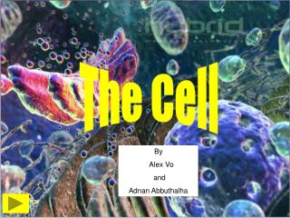 The Cell