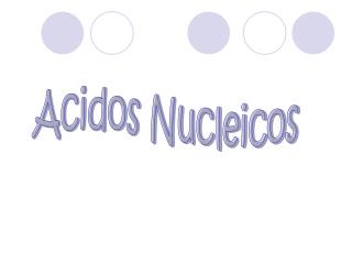 Acidos Nucleicos