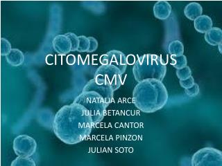 CITOMEGALOVIRUS CMV