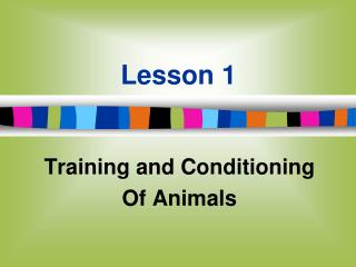 Lesson 1