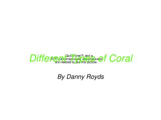 Different Types of Coral