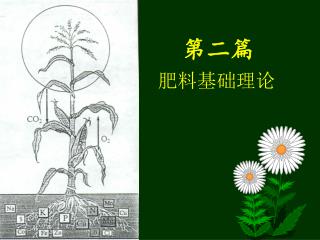 第二篇 肥料基础理论