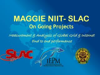 MAGGIE NIIT- SLAC On Going Projects