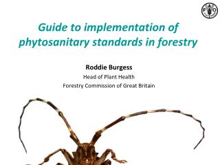 Guide to implementation of phytosanitary standards in forestry