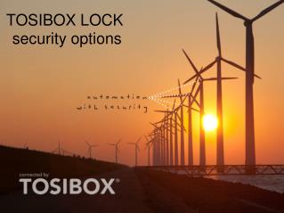 TOSIBOX LOCK security options