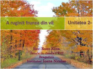 A ruginit frunza din vii