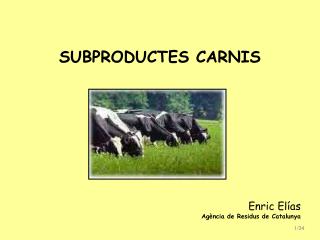 SUBPRODUCTES CARNIS