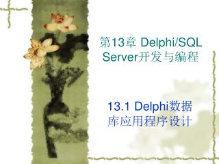第 13 章 Delphi/SQL Server 开发与编程