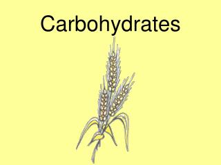 Carbohydrates