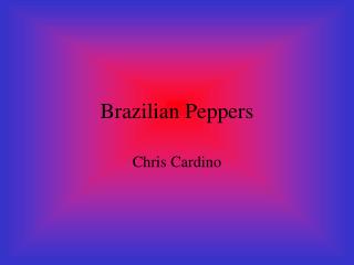 Brazilian Peppers