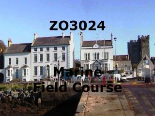 ZO3024 Marine Field Course