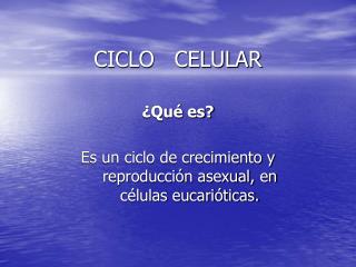 CICLO CELULAR