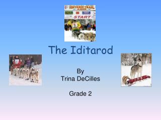 The Iditarod