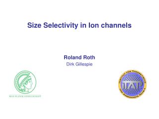 Size Selectivity in Ion channels