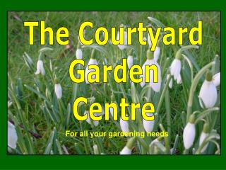 The Courtyard Garden Centre