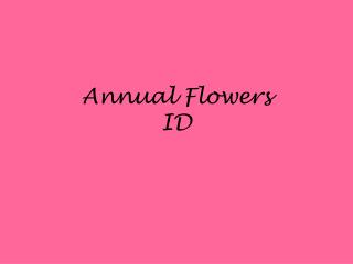 Annual Flowers ID