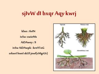 klws : 6vIN ivSw :swieMs AiDAwey : 9 ivSw AiDAwpk : krnYl isG srkwrI hweI skUl jnwl(sMgrUr)