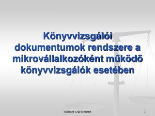 Könyvvizsgálói dokumentumok rendszere a mikrovállalkozóként működő könyvvizsgálók esetében