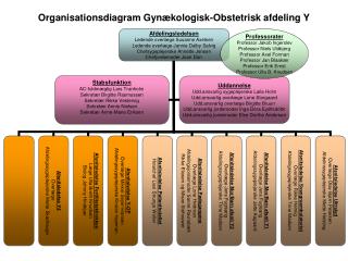 130903_Organisationsdiagram_hele_Afd_Y_-_rev__02_09_2013