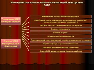 Межведомственное и межуровневое взаимодействие органов ЗАГС