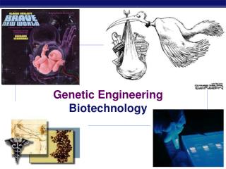 Genetic Engineering Biotechnology