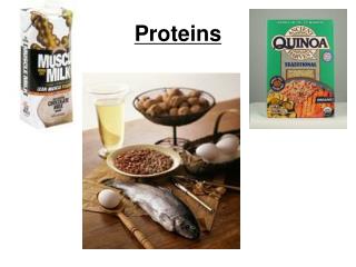 Proteins