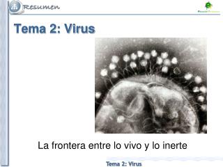 Tema 2: Virus