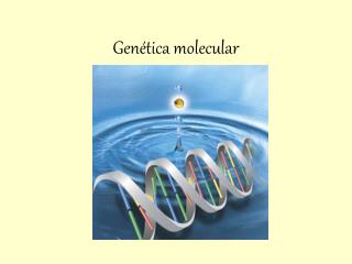 Genética molecular