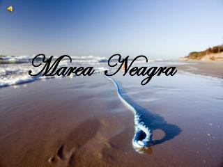 Marea Neagra