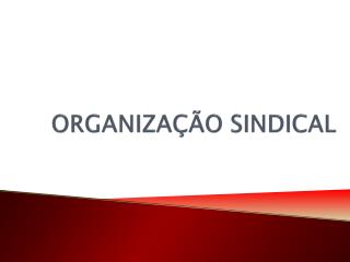 ORGANIZAÇÃO SINDICAL