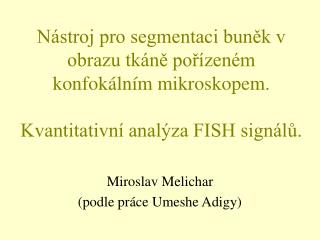 Miroslav Melichar (podle práce Umeshe Adigy)