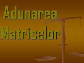 Adunarea Matricelor