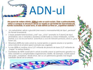 ADN- ul