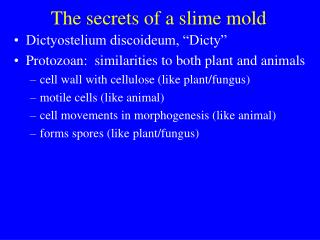 The secrets of a slime mold