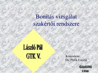 Bonitás vizsgálat szakértői rendszere