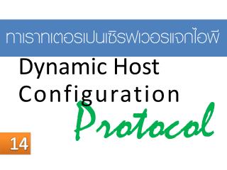 Protocol