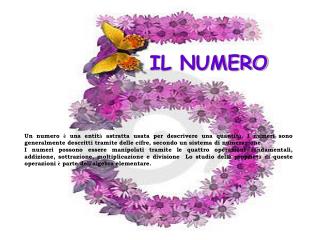 IL NUMERO
