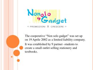 The cooperative “Non solo gadget” was set up on 19 Aprile 2002 as a limited liability company.