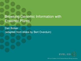 Browsing Genomic Information with Ensembl Plants