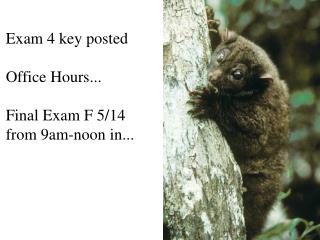 Exam 4 key posted Office Hours... Final Exam F 5/14 from 9am-noon in...