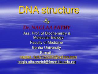 DNA structure