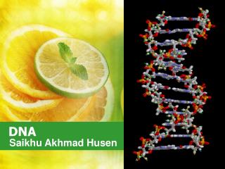 DNA